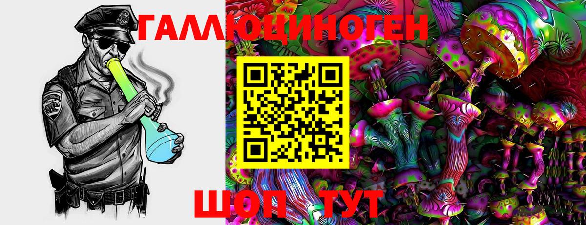 Псилоцибиновые грибы Psilocybine cubensis Кызыл
