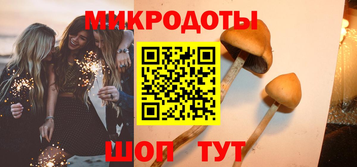 Кызыл  Галлюциногенные грибы Cubensis  Вход с VPN  Галлюциногенные грибы мицелий 